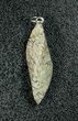 Agatized Dinosaur Bone (Gembone) Twist Pendant #54075-1